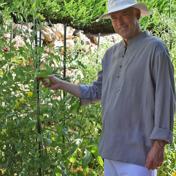 Chemise col Mao - 4 boutons - HOMMES - Tortue de Mer