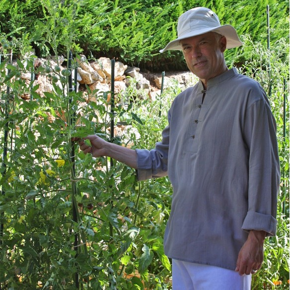 Chemise col Mao - 4 boutons - HOMMES - Tortue de Mer