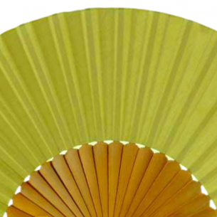 Eventail soie vert - EVENTAILS - Tortue de Mer 2