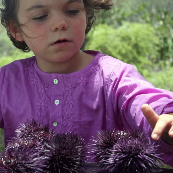 Flower embroidered kaftan - KAFTANS & TUNICS - Tortue de Mer