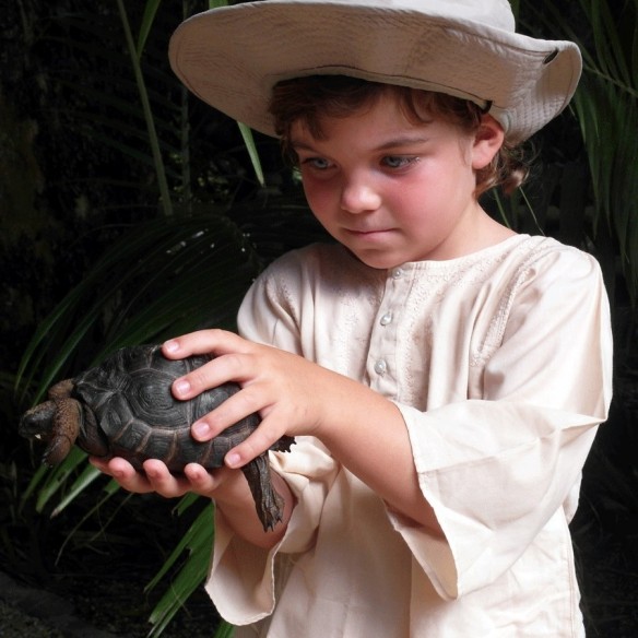 Tunique enfant coton - TUNIQUES - Tortue de Mer