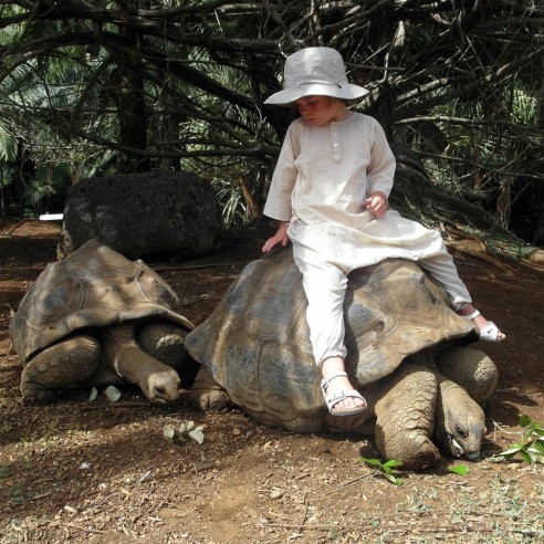 Tunique enfant coton - TUNIQUES - Tortue de Mer