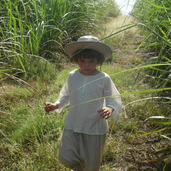 Cotton shirt - KAFTANS & TUNICS - Tortue de Mer