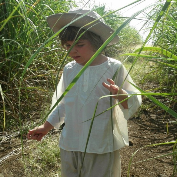 Tunique enfant coton - TUNIQUES - Tortue de Mer