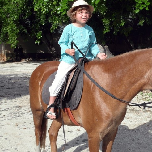 Cotton shirt - KAFTANS & TUNICS - Tortue de Mer