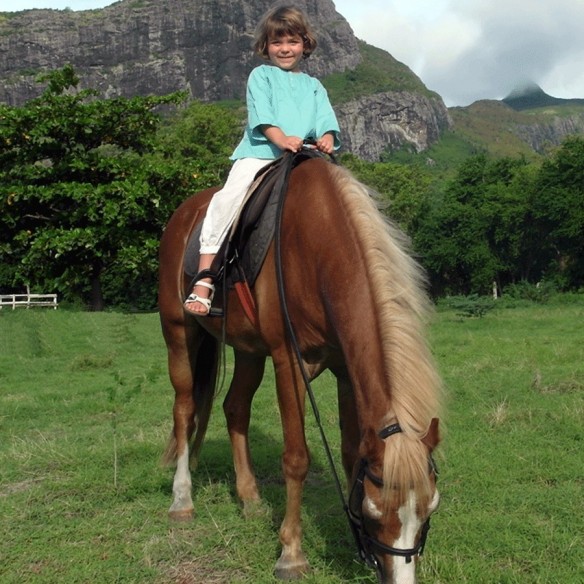 Cotton shirt - KAFTANS & TUNICS - Tortue de Mer