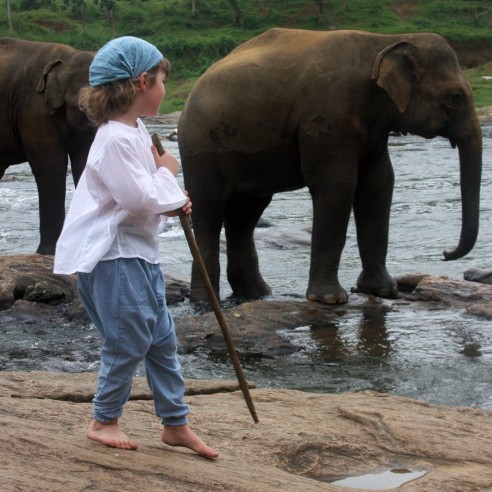 Sarouel trousers - SAROUELS & TROUSERS - Tortue de Mer