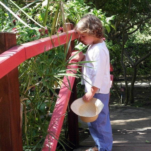 Pantalon coton pour enfant - ENFANTS ET ADOS - Tortue de Mer