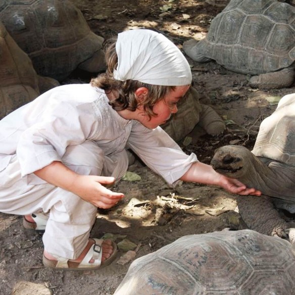 Summer kaftan - KAFTANS & TUNICS - Tortue de Mer