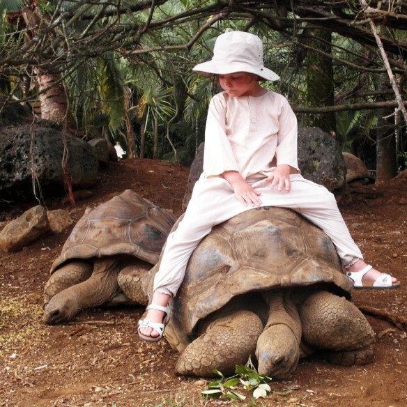 Sarouel enfant en voile de coton - SAROUELS ET PANTALONS - Tortue de Mer