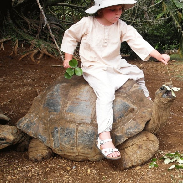 Sarouel enfant en voile de coton - SAROUELS ET PANTALONS - Tortue de Mer