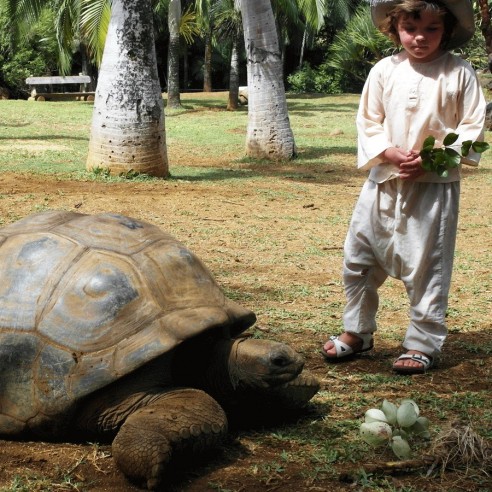Sarouel enfant en voile de coton - SAROUELS ET PANTALONS - Tortue de Mer