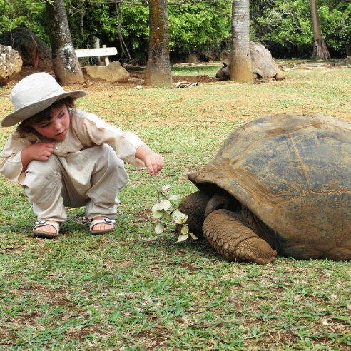 Sarouel enfant en voile de coton - SAROUELS ET PANTALONS - Tortue de Mer