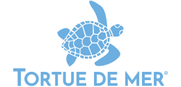 Tortue de mer